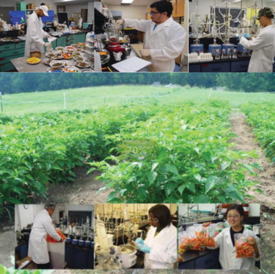 capsaicin in agriculture capsaicin in agriculture