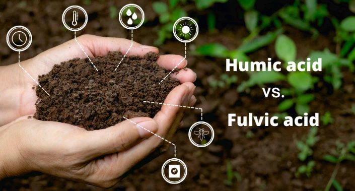 Potassium humate powder manufacturer Potassium humate powder manufacturer